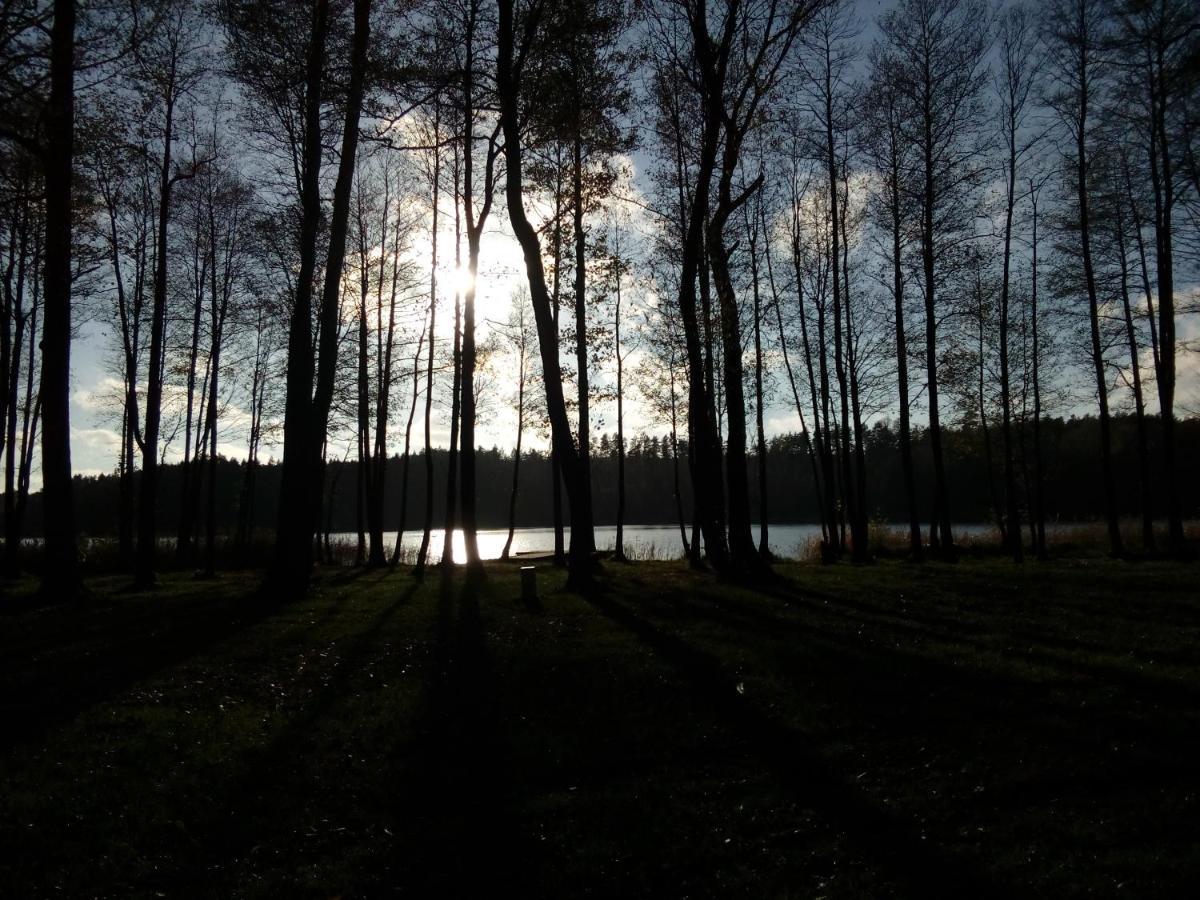 Domki Wczasowe Mazury - Ferienhaus Masuren - Do 12 Osob - Idealny Dla Grup Dluzek Экстерьер фото