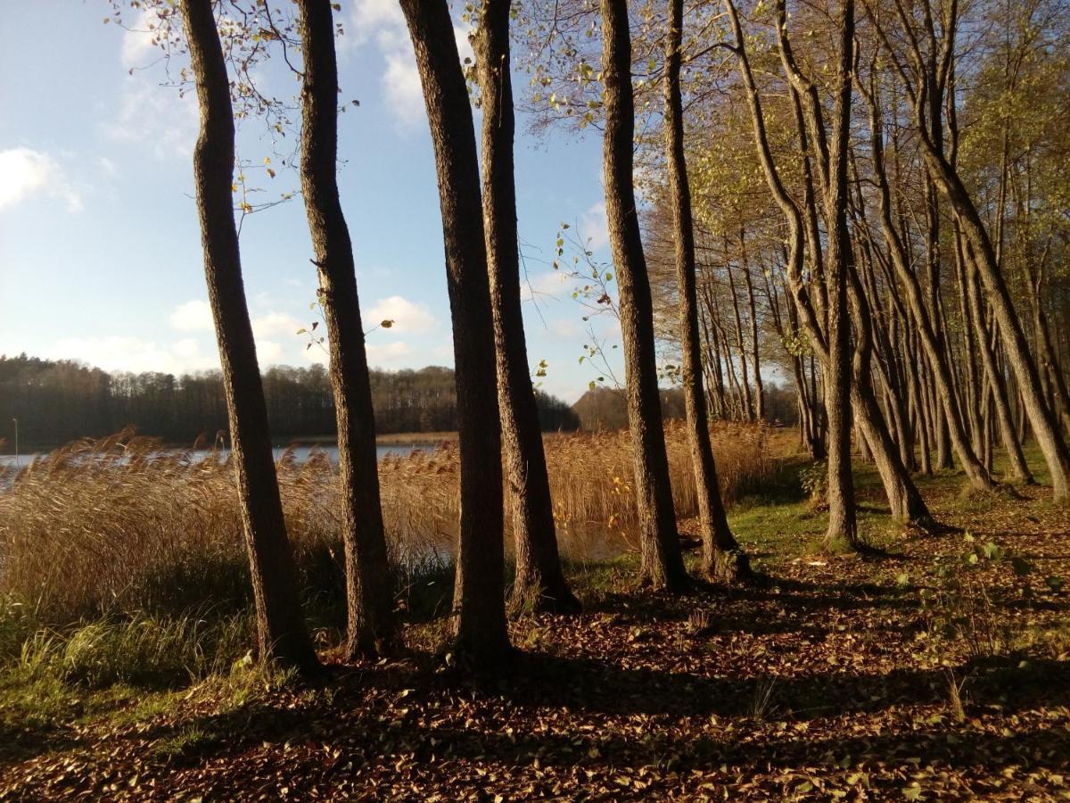 Domki Wczasowe Mazury - Ferienhaus Masuren - Do 12 Osob - Idealny Dla Grup Dluzek Экстерьер фото