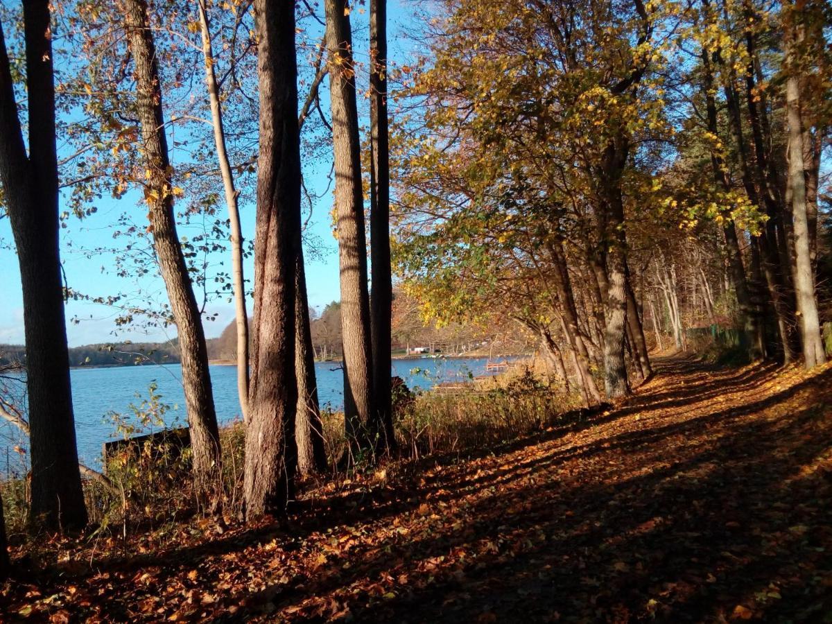 Domki Wczasowe Mazury - Ferienhaus Masuren - Do 12 Osob - Idealny Dla Grup Dluzek Экстерьер фото